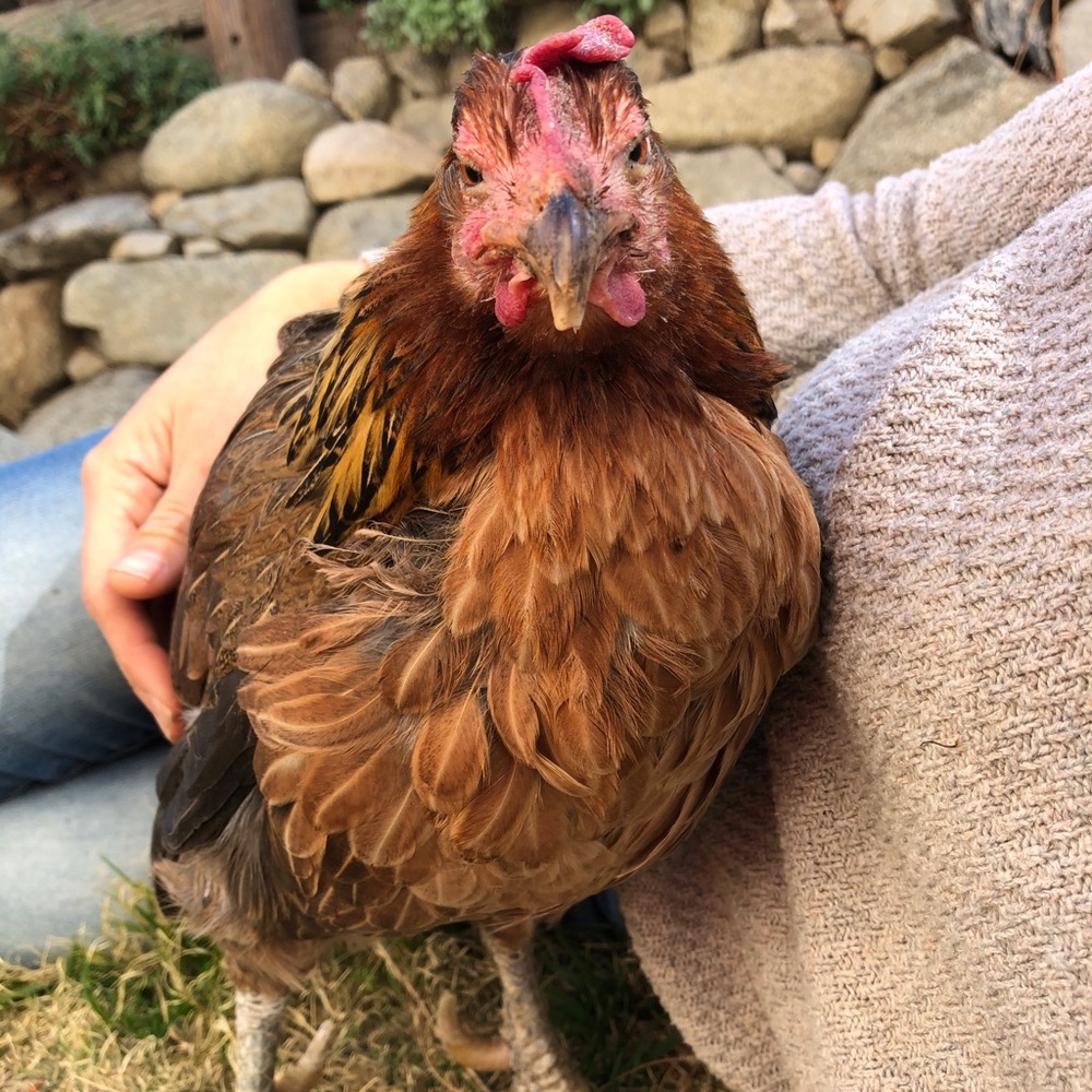 Meet your Posher, Brian